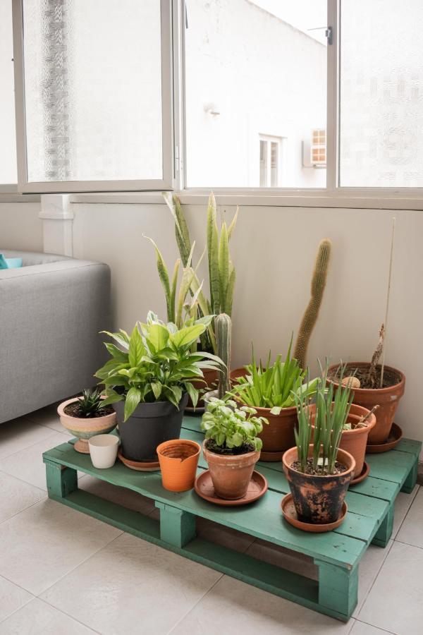 The Pocket Pillow House 파로 외부 사진